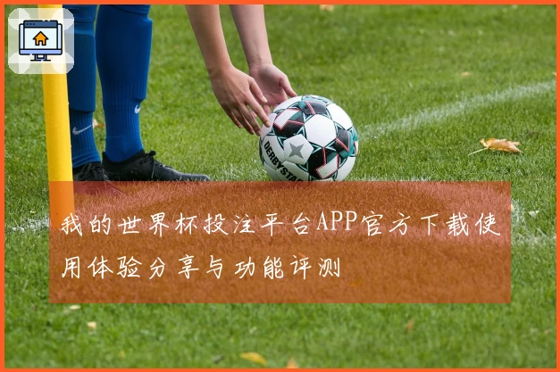 我的世界杯投注平台APP官方下载使用体验分享与功能评测