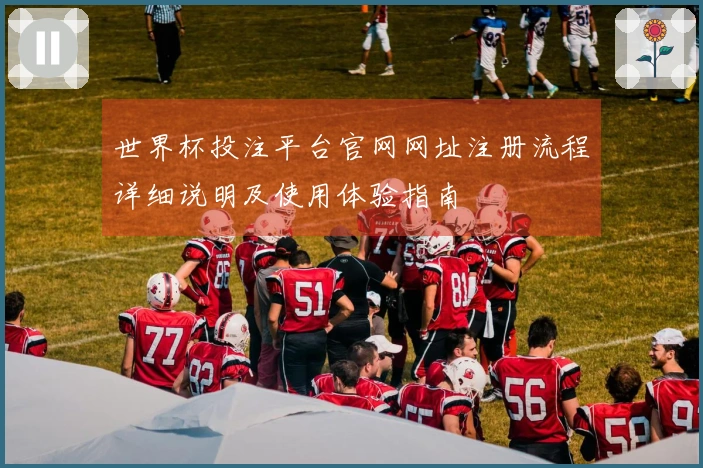 世界杯投注平台官网网址注册流程详细说明及使用体验指南