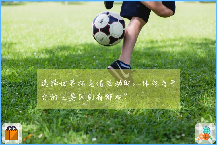 选择世界杯竞猜活动时,体彩与平台的主要区别有哪些?