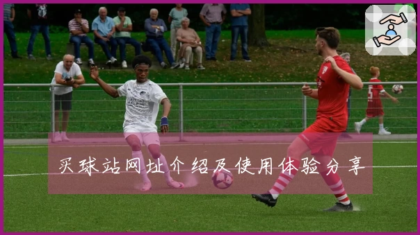 买球站网址介绍及使用体验分享