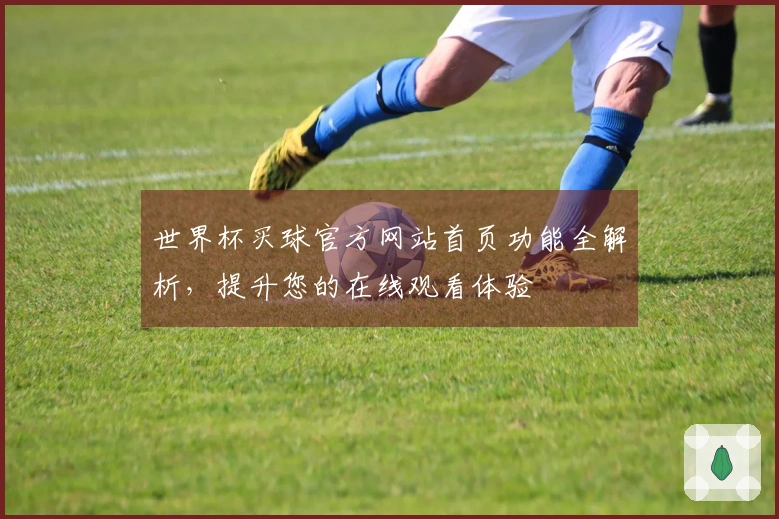 世界杯买球官方网站首页功能全解析，提升您的在线观看体验