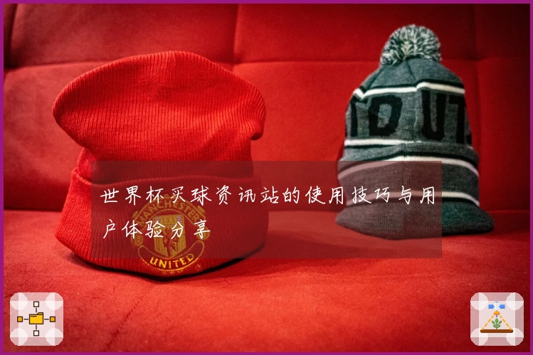世界杯买球资讯站的使用技巧与用户体验分享