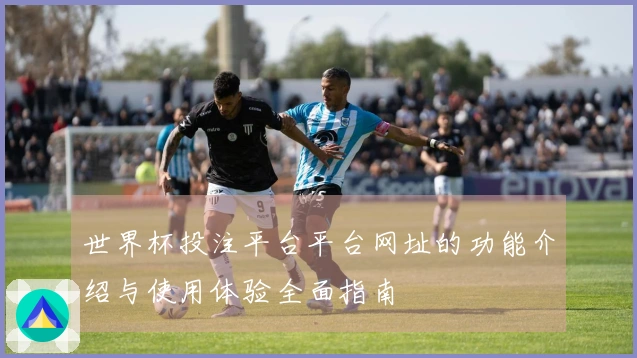 世界杯投注平台平台网址的功能介绍与使用体验全面指南
