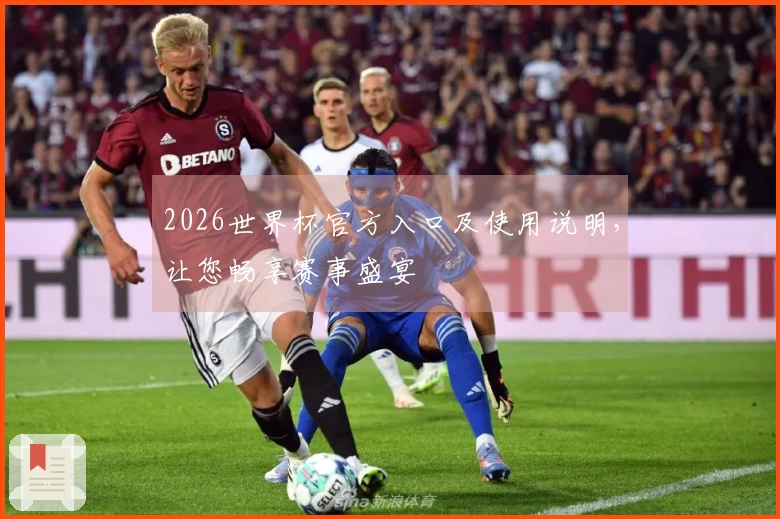 2026世界杯官方入口及使用说明，让您畅享赛事盛宴