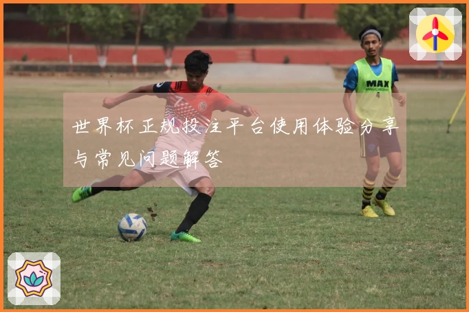 世界杯正规投注平台使用体验分享与常见问题解答
