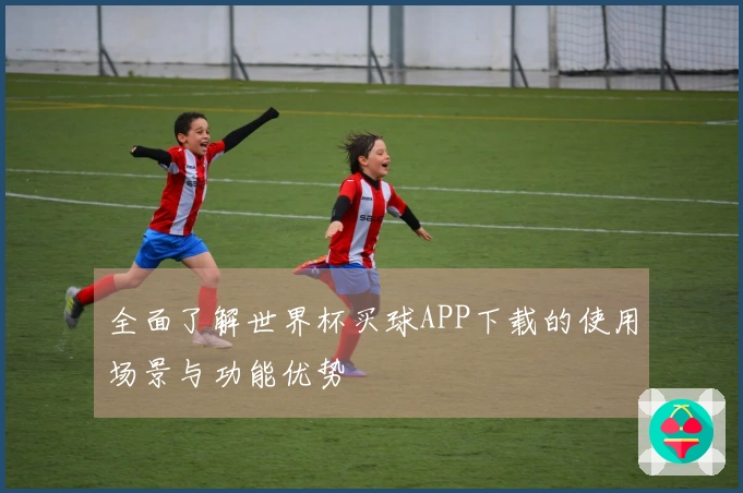 全面了解世界杯买球APP下载的使用场景与功能优势