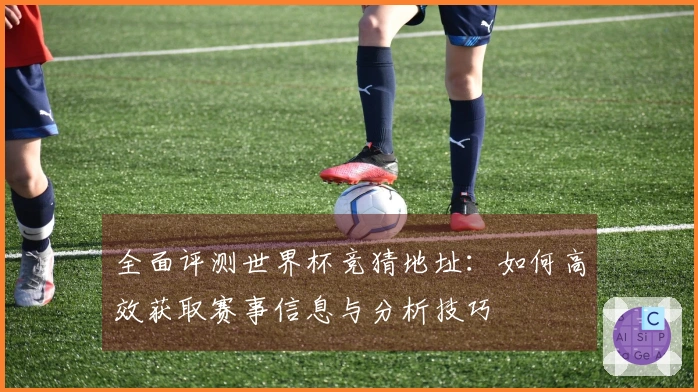 全面评测世界杯竞猜地址：如何高效获取赛事信息与分析技巧