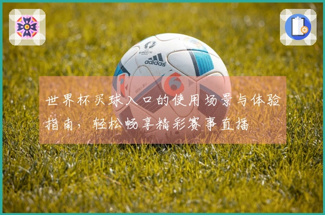 世界杯买球入口的使用场景与体验指南，轻松畅享精彩赛事直播
