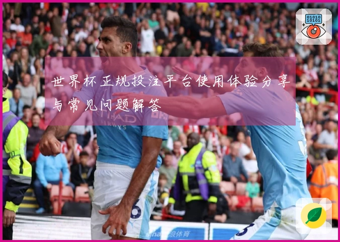 世界杯正规投注平台使用体验分享与常见问题解答