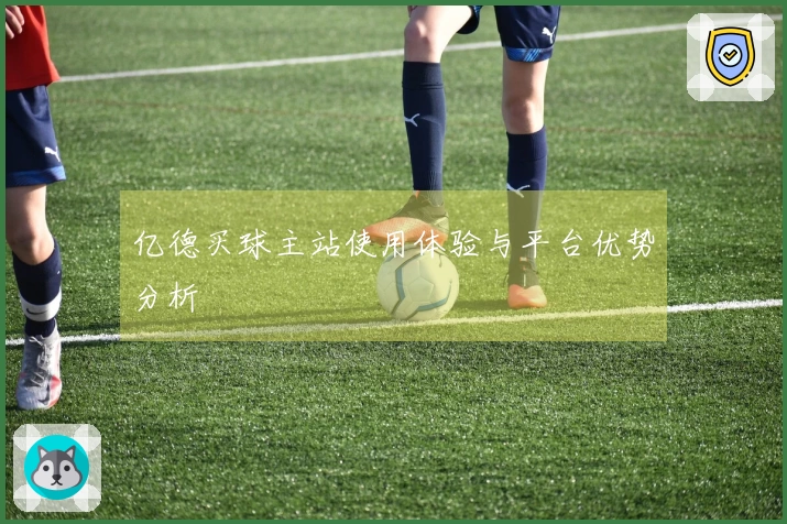 亿德买球主站使用体验与平台优势分析