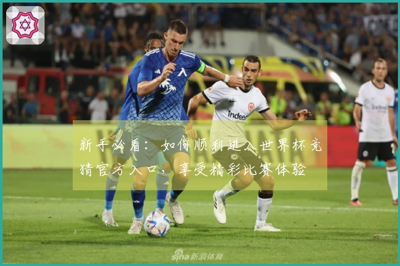 新手必看：如何顺利进入世界杯竞猜官方入口，享受精彩比赛体验