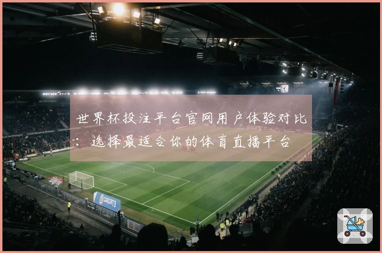 世界杯投注平台官网用户体验对比：选择最适合你的体育直播平台
