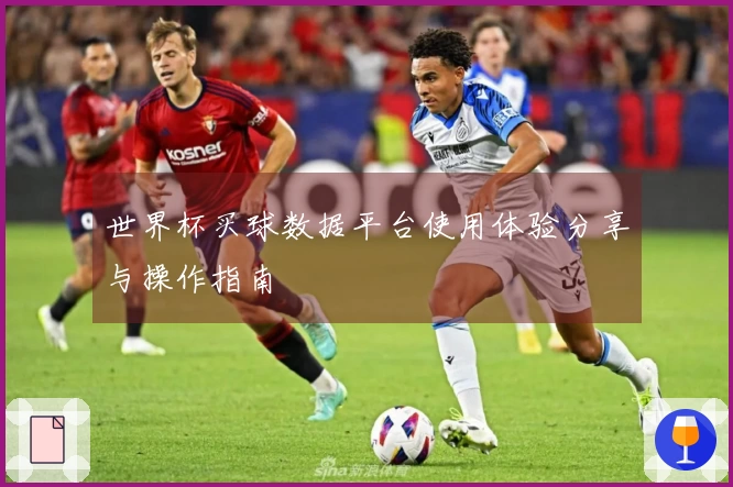 世界杯买球数据平台使用体验分享与操作指南